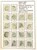 Kavel 1549 (36)