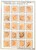 Kavel 1549 (52)