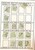 Kavel 1549 (67)