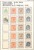 Kavel 1549 (120)