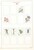 Kavel 1092 (57)