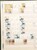 Lot 1267 (4)