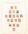 Lot 1138 (14)