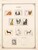 Kavel 1241 (53)