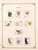 Kavel 1241 (60)