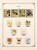 Kavel 1213 (104)