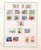 Kavel 3062 (111)