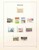 Kavel 3061 (131)