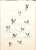 Kavel 1087 (16)