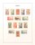 Kavel 1127 (13)