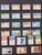 Kavel 1177 (126)