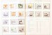 Kavel 1080 (48)