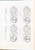 Kavel 1039 (29)