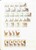 Kavel 1039 (64)