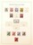Lot 1145 (13)