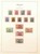 Lot 1145 (43)
