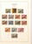 Lot 1145 (115)