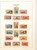 Lot 1145 (116)