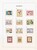 Kavel 1061 (149)