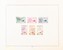 Lot 1307 (50)