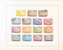 Lot 1307 (79)