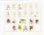 Lot 1307 (137)