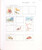 Kavel 1199 (258)