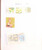 Kavel 1199 (323)