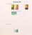 Kavel 1195 (132)
