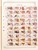 Kavel 1303 (90)