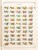 Kavel 1303 (91)