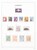 Lot 1741 (50)