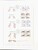 Kavel 1255 (41)