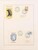 Lot 1263 (12)