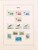 Lot 1263 (37)