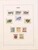 Lot 1263 (40)