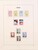 Lot 1263 (49)
