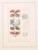 Kavel 1280 (72)