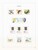 Lot 1264 (109)