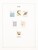 Lot 1264 (132)