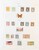 Kavel 1017 (3)