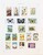 Kavel 1017 (161)