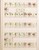 Lot 1033 (35)