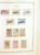 Kavel 1501 (123)