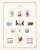 Kavel 1751 (253)