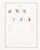 Kavel 1751 (305)