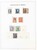 Lot 1305 (6)