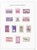 Lot 1305 (37)