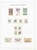 Lot 1305 (67)