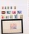 Lot 1143 (10)